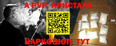 СК Гусев