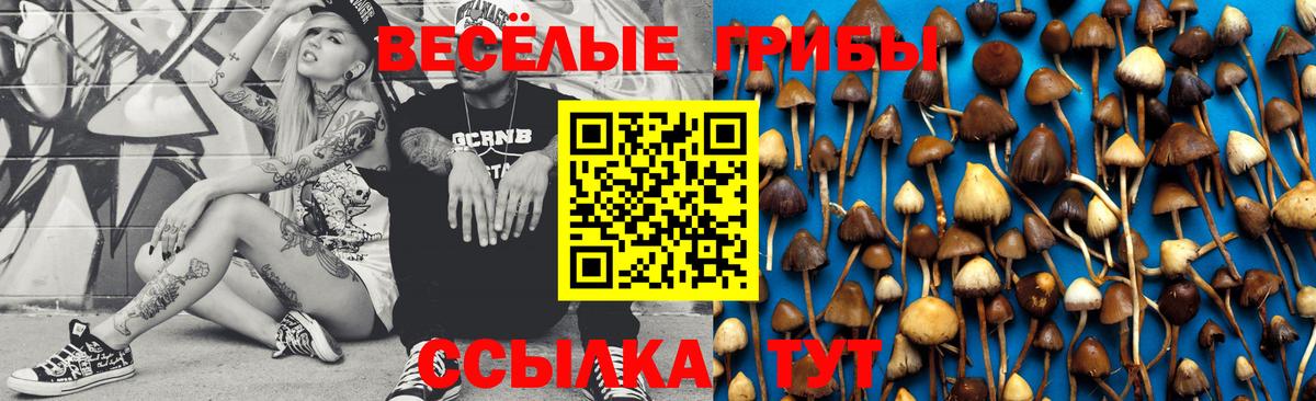 Нижневартовск  Псилоцибиновые грибы Psilocybine cubensis  Вход с VPN 